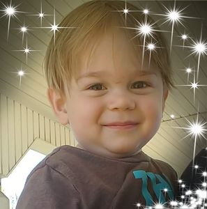 Meet your Posher, Darcy